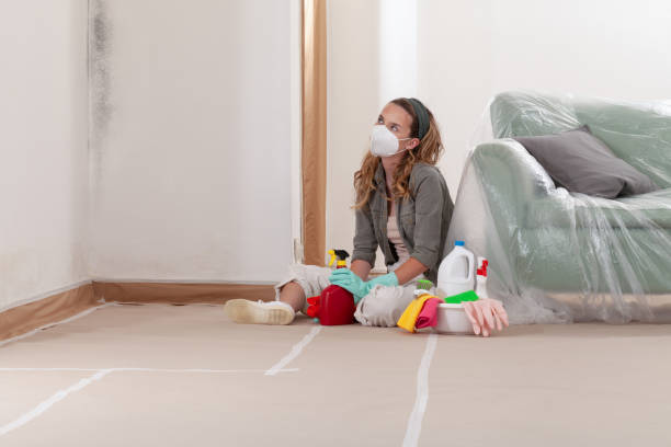 Reliable Mold Cleanup contractor in North Andover, MA by Cheap Mold Removal